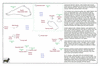 lut34 carolines east  lukanor_thumb.gif